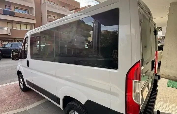
								Fiat Ducato Panorama 9 Posti full									