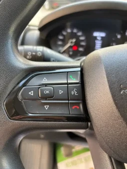 
										Fiat Ducato Panorama 9 Posti full									