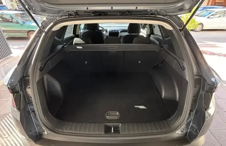 
								Hyundai TUCSON Tucson III 2021 1.6 crdi 48V Xline 2wd imt full									