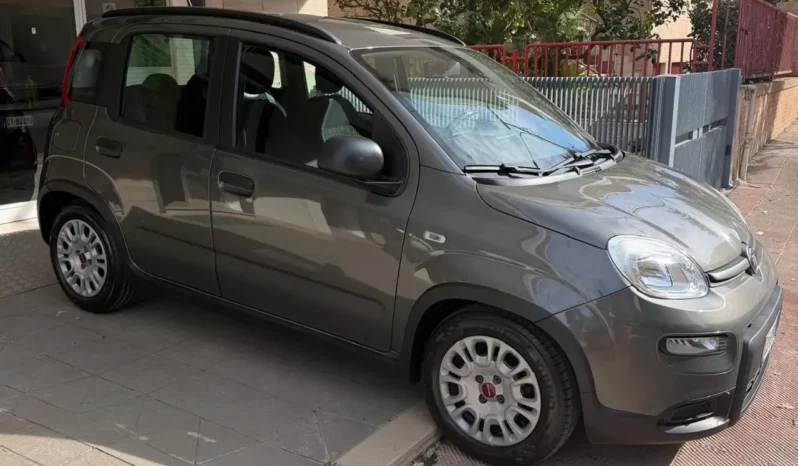
								Fiat Panda Iii 2021 1 0 Firefly Hybrid S Elettrica Benzina full									