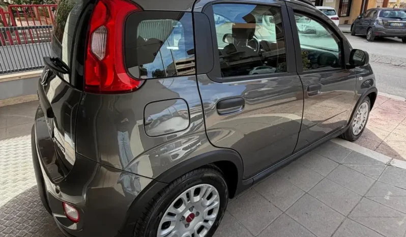 
								Fiat Panda Iii 2021 1 0 Firefly Hybrid S Elettrica Benzina full									