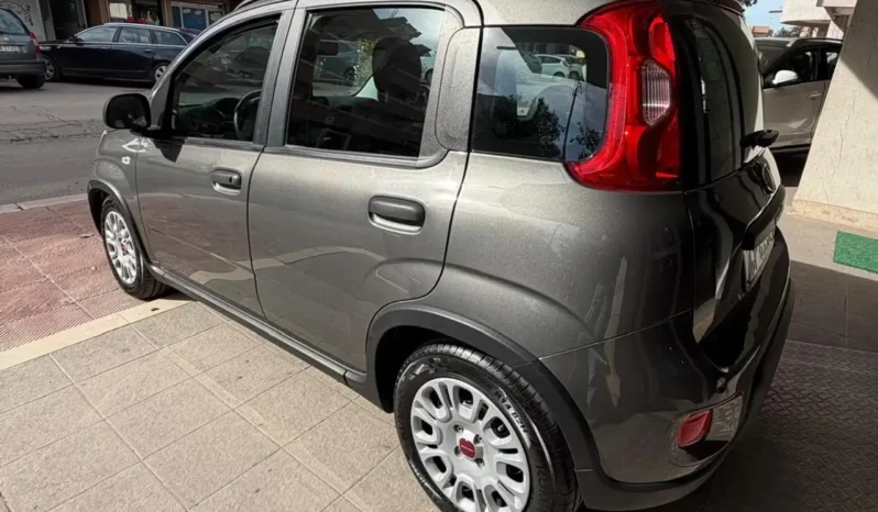 
								Fiat Panda Iii 2021 1 0 Firefly Hybrid S Elettrica Benzina full									
