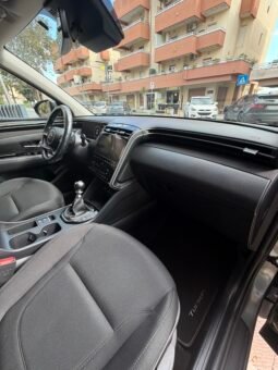 
										Hyundai TUCSON Tucson III 2021 1.6 crdi 48V Xline 2wd imt full									