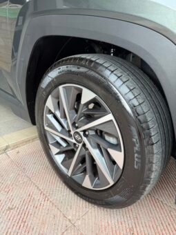 
										Hyundai TUCSON Tucson III 2021 1.6 crdi 48V Xline 2wd imt full									