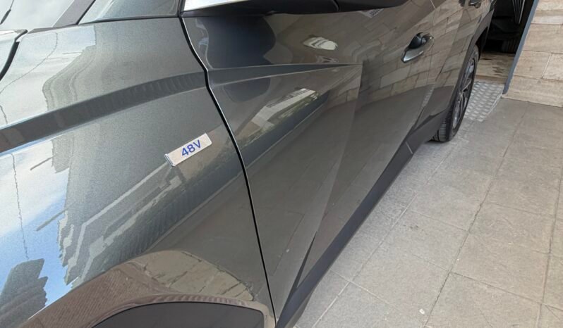 
								Hyundai TUCSON Tucson III 2021 1.6 crdi 48V Xline 2wd imt full									