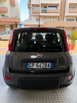 
										Fiat Panda Iii 2021 1 0 Firefly Hybrid S Elettrica Benzina full									
