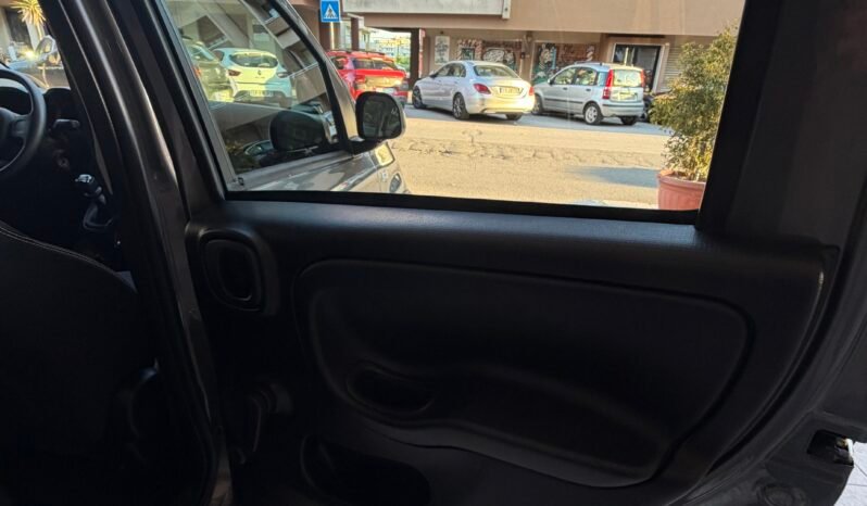 
								Fiat Panda Iii 2021 1 0 Firefly Hybrid S Elettrica Benzina full									