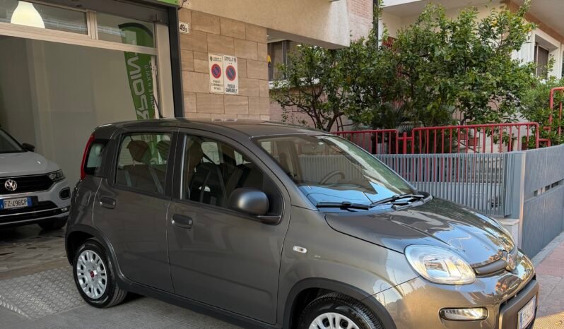
								Fiat Panda Iii 2021 1 0 Firefly Hybrid S Elettrica Benzina full									